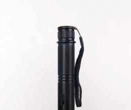 1106型強(qiáng)光電擊器